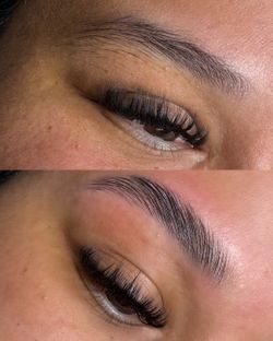Lashes / Brows