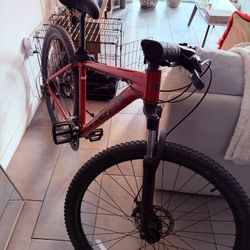 Trek 29” Mountain Bike – Smooth Ride, Great Condition