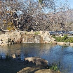 Pond