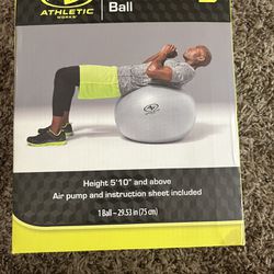 Fitness/Exercise Ball
