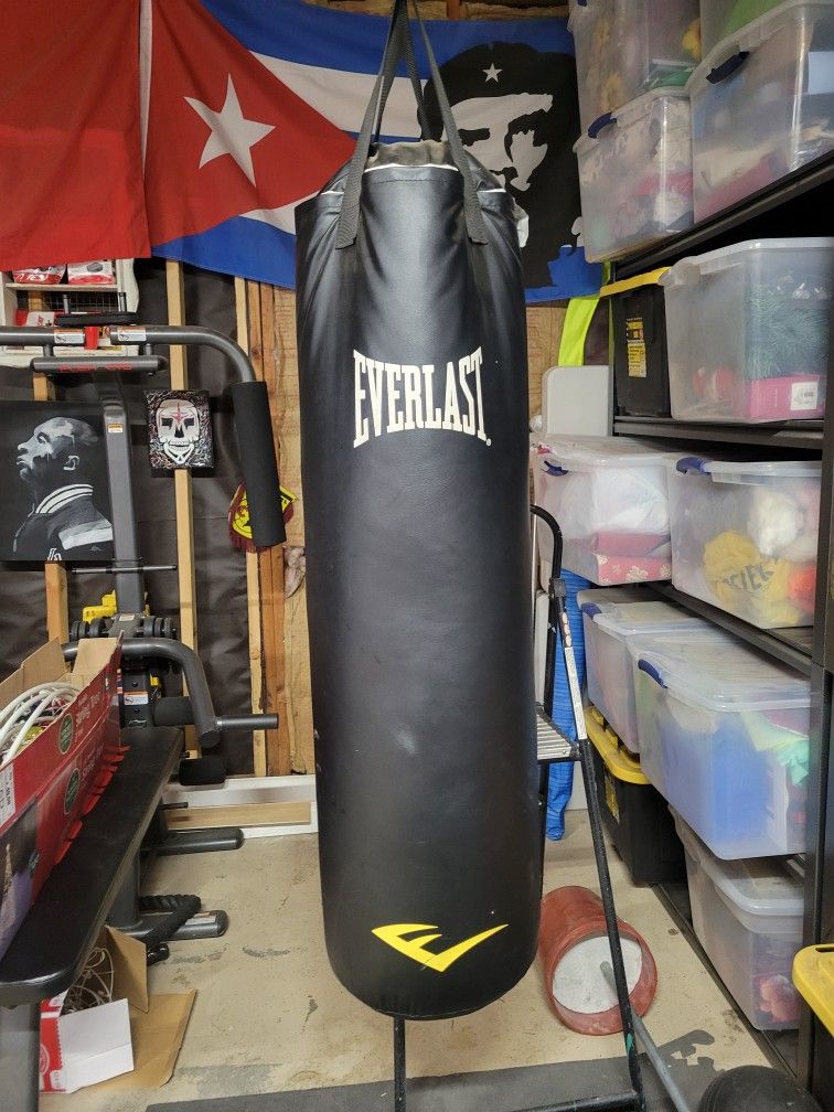 Everlast Punching Bag