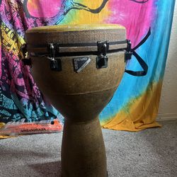 Remo Djembe