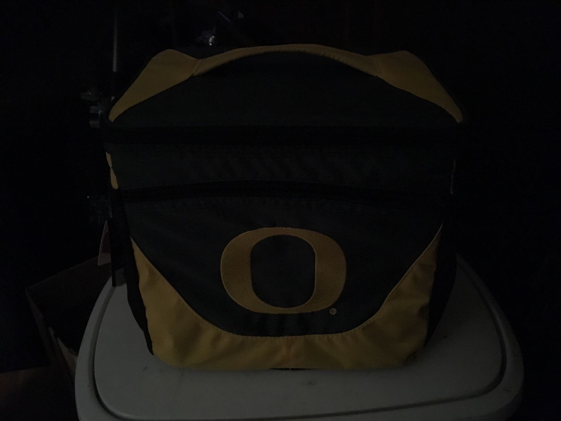 Oregon ducks 24 can cooler