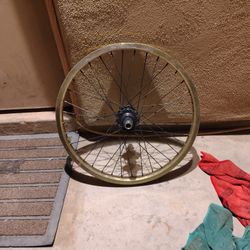 Gold Verde 20 Inch Back Rim 