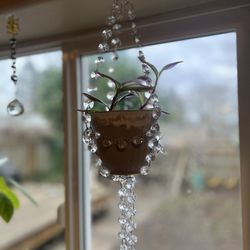 Hanging Plant Holder 