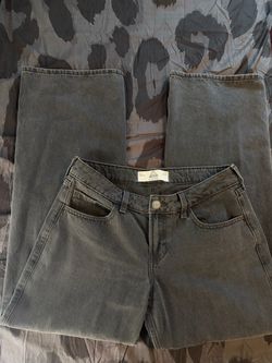 Hollister
