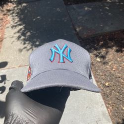 Limited Edition Color Way Yankee Hat