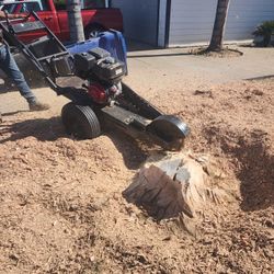 Ago Trabajos De Estampa Remober El Tronco De Un Arbol