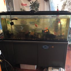 55 Gallon Aquarium 