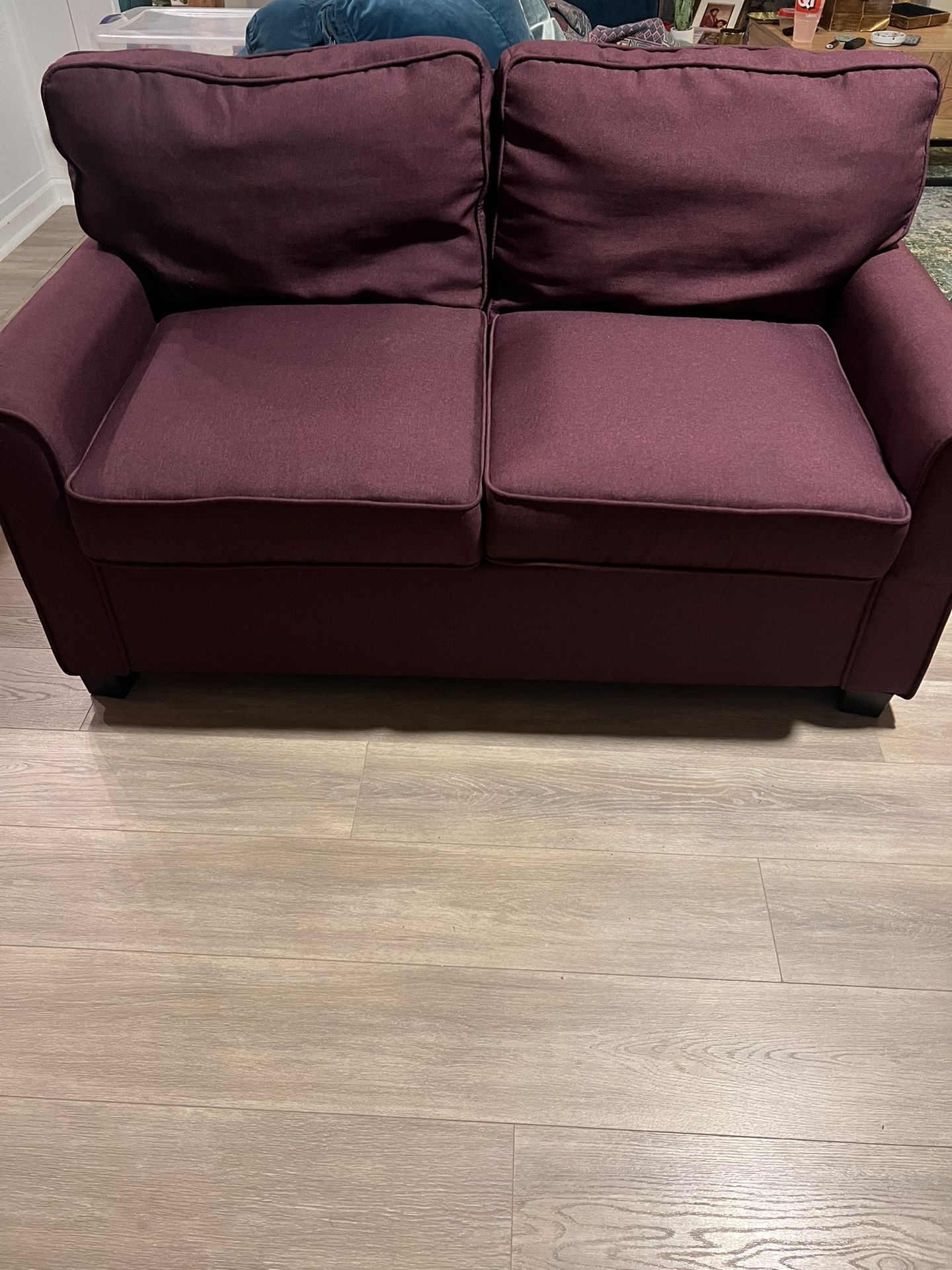 Sleeper Sofa New