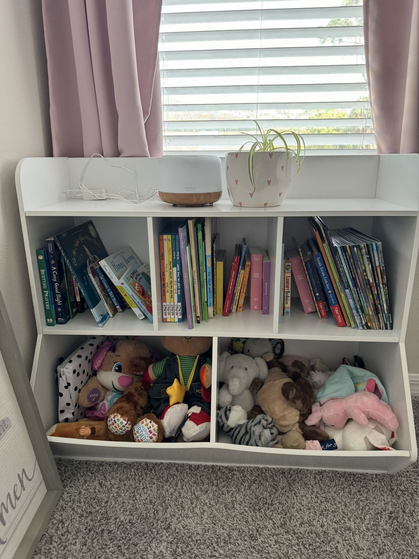 Bookcase/toy Storage 