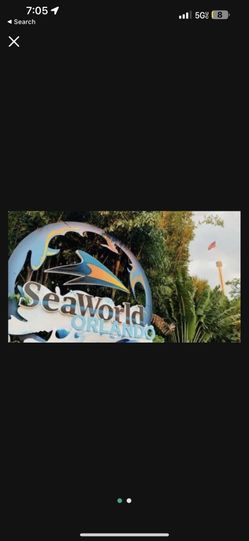 Seawolrd And Aquatica