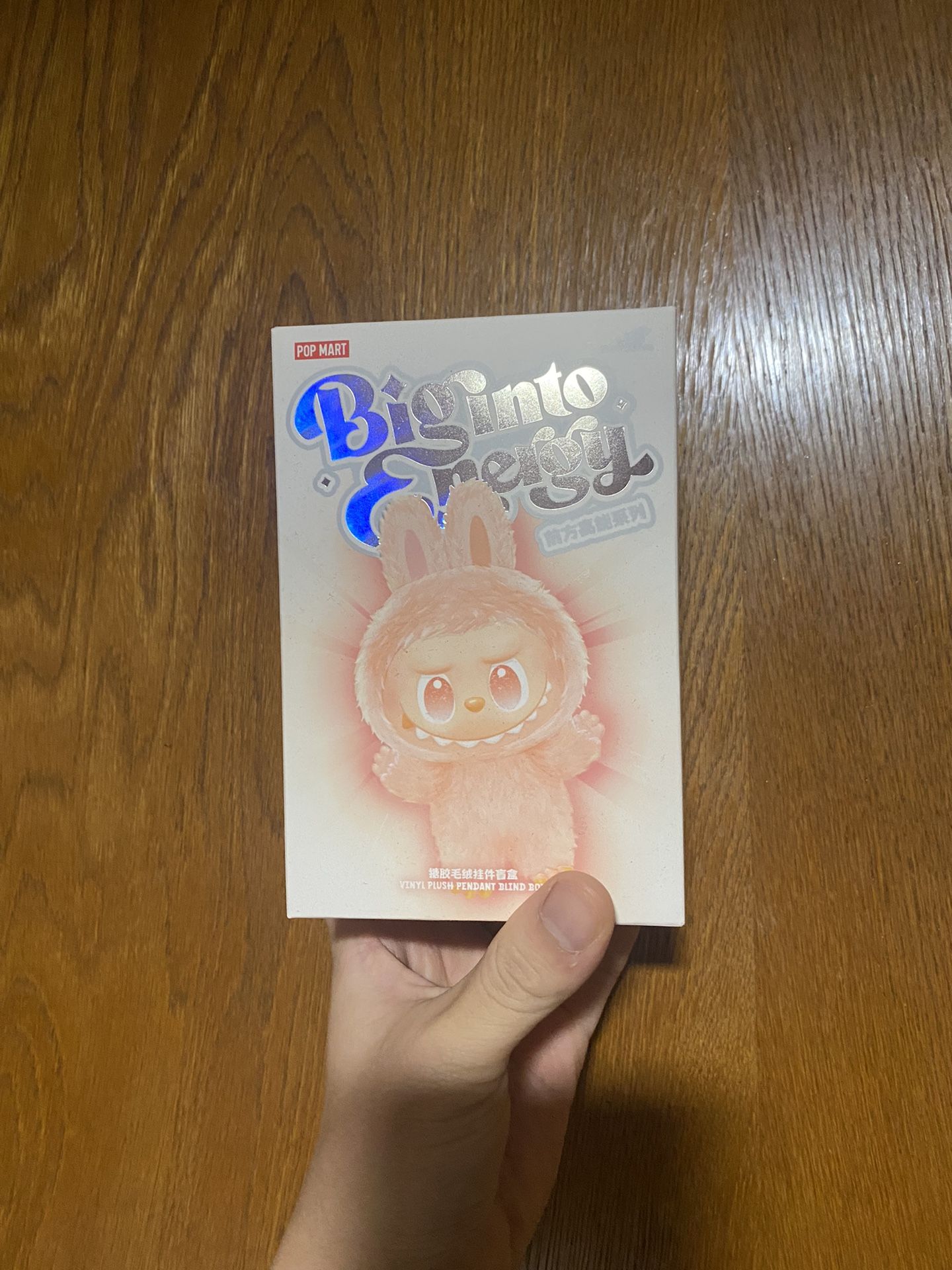 Labubu Big Into Energy Single Set