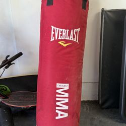 Punching Bag Everlast MMA