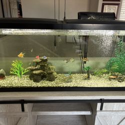 55 Gal Fish Aquarium 