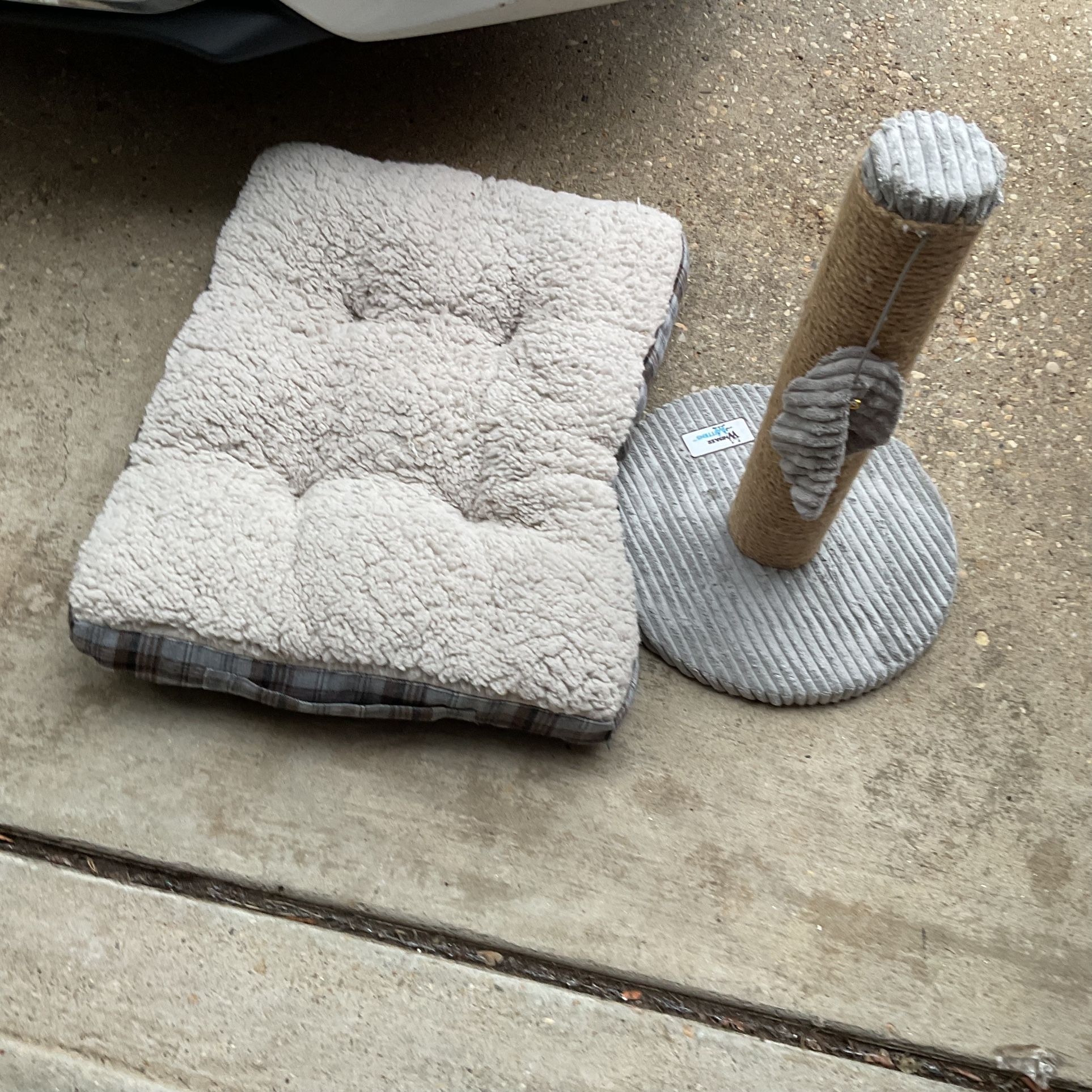 A Cat Bed And Scratching Tree (NO SHIPPING)