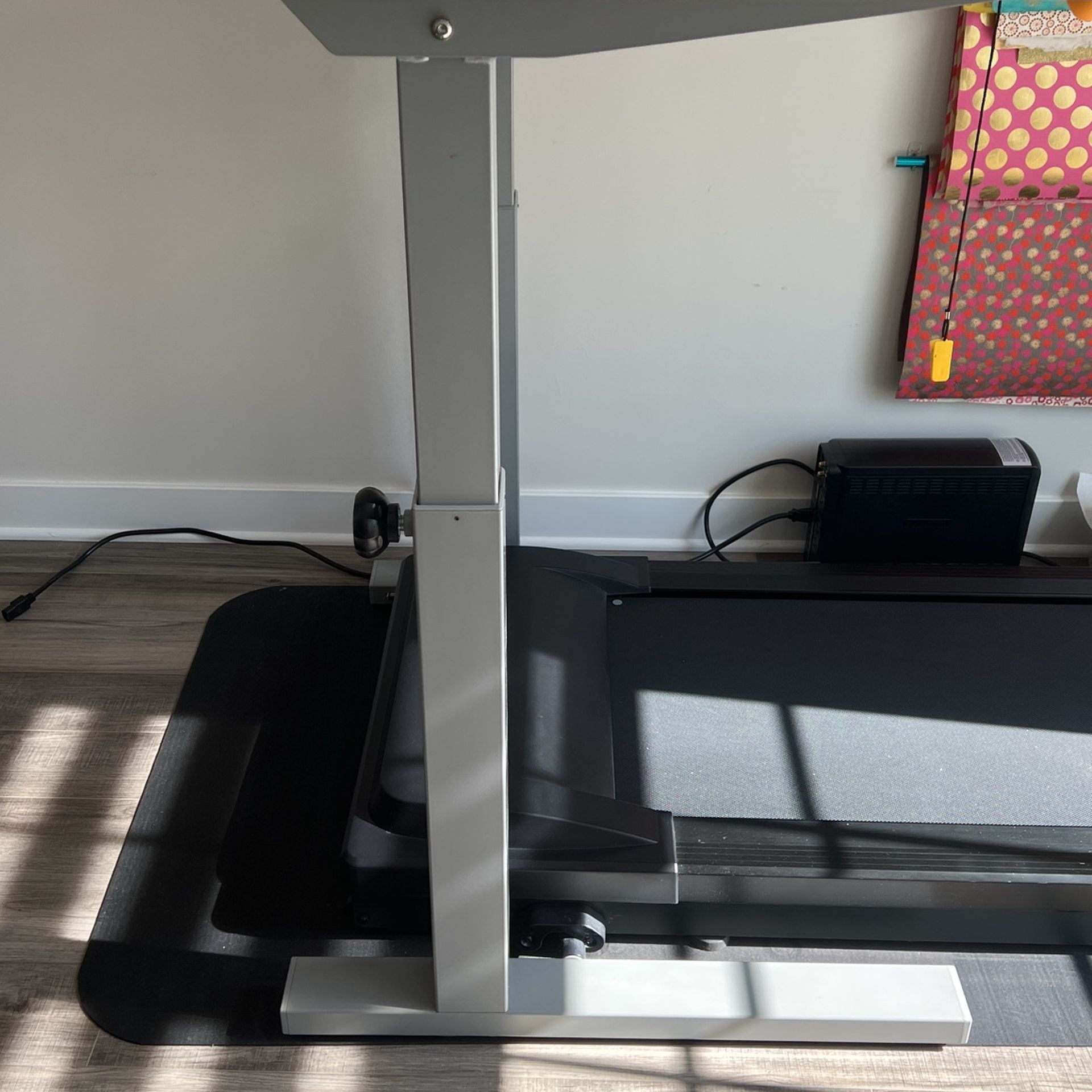 Lifespan Treadmill Desk