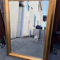 Beautiful Decorative Wall Mirror – 55” x 19.5”