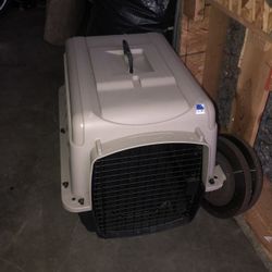 Dog Cage