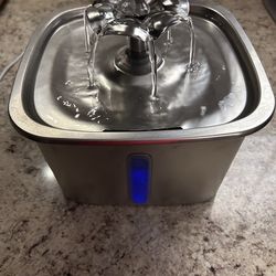 Electric dog/cat water dispenser