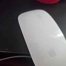 Magic mouse 2