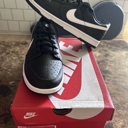 Nike dunk low retro