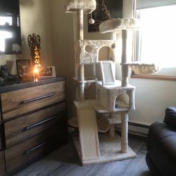 Cat Tower