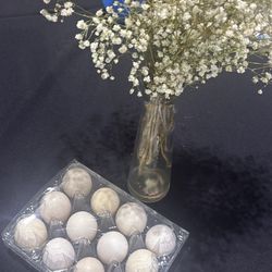 eggs farm raised 