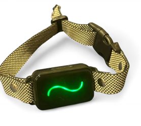 Black and White Training Collar with Remote for Small, Medium Dogs