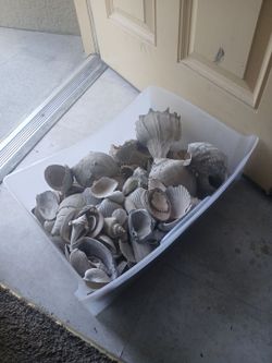 Tons of shells make me a offer