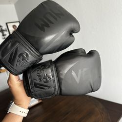 Kids Muay Thai Gloves