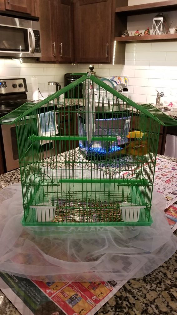 Medium sized cage for birds