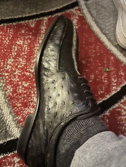 Montaralla Y Avestruz Zapato