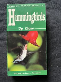 Humming Birds Up Close Vhs