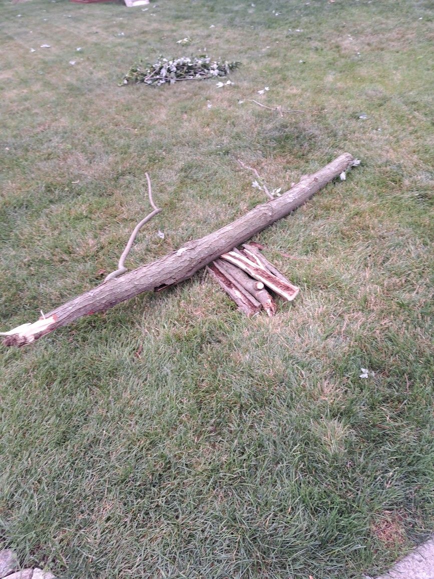Firewood