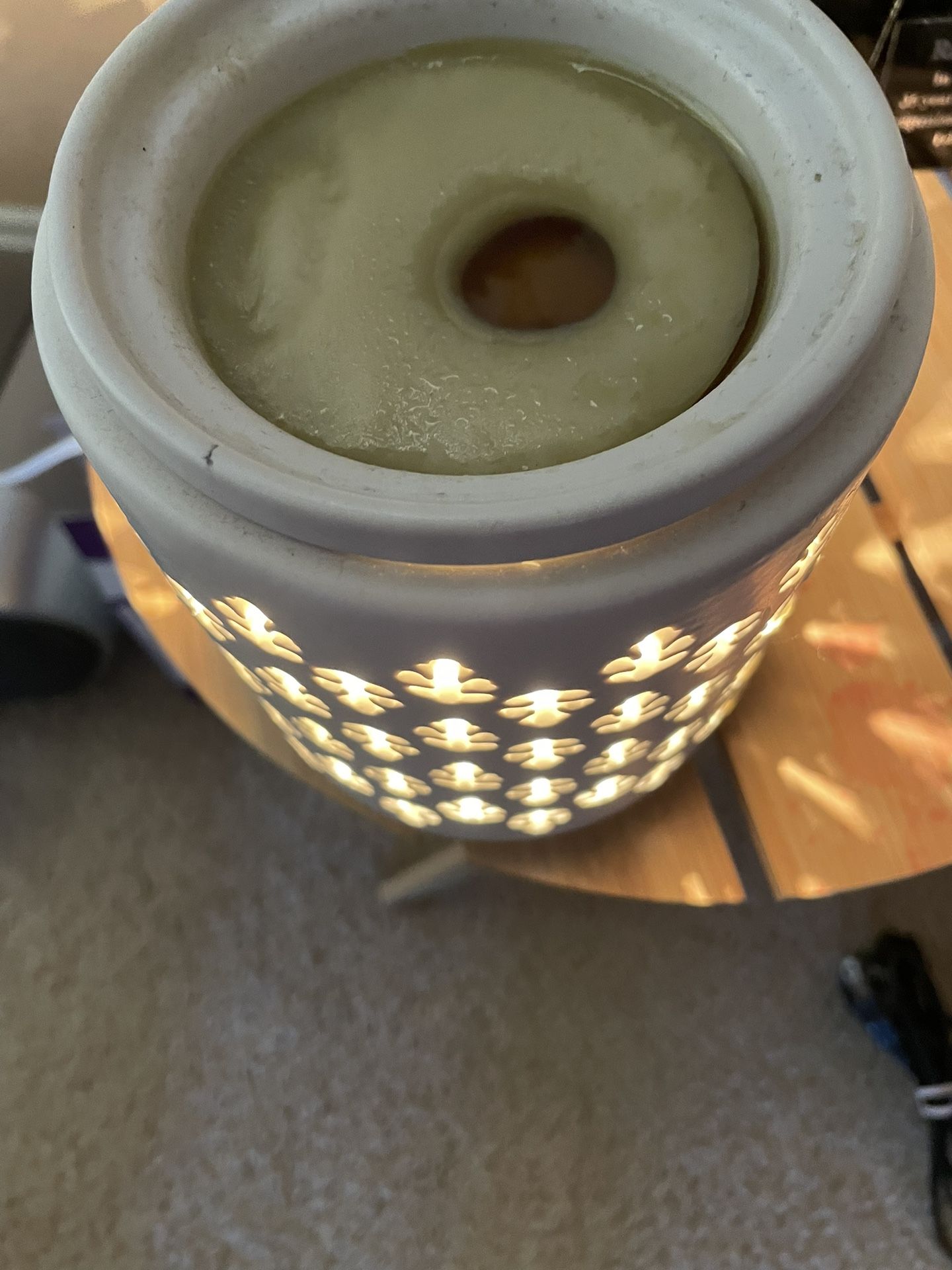 Electric Wax Melter