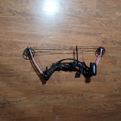 Hoyt  Ruckus Jr Bow