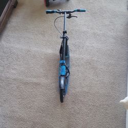 Adult Kick Scooter