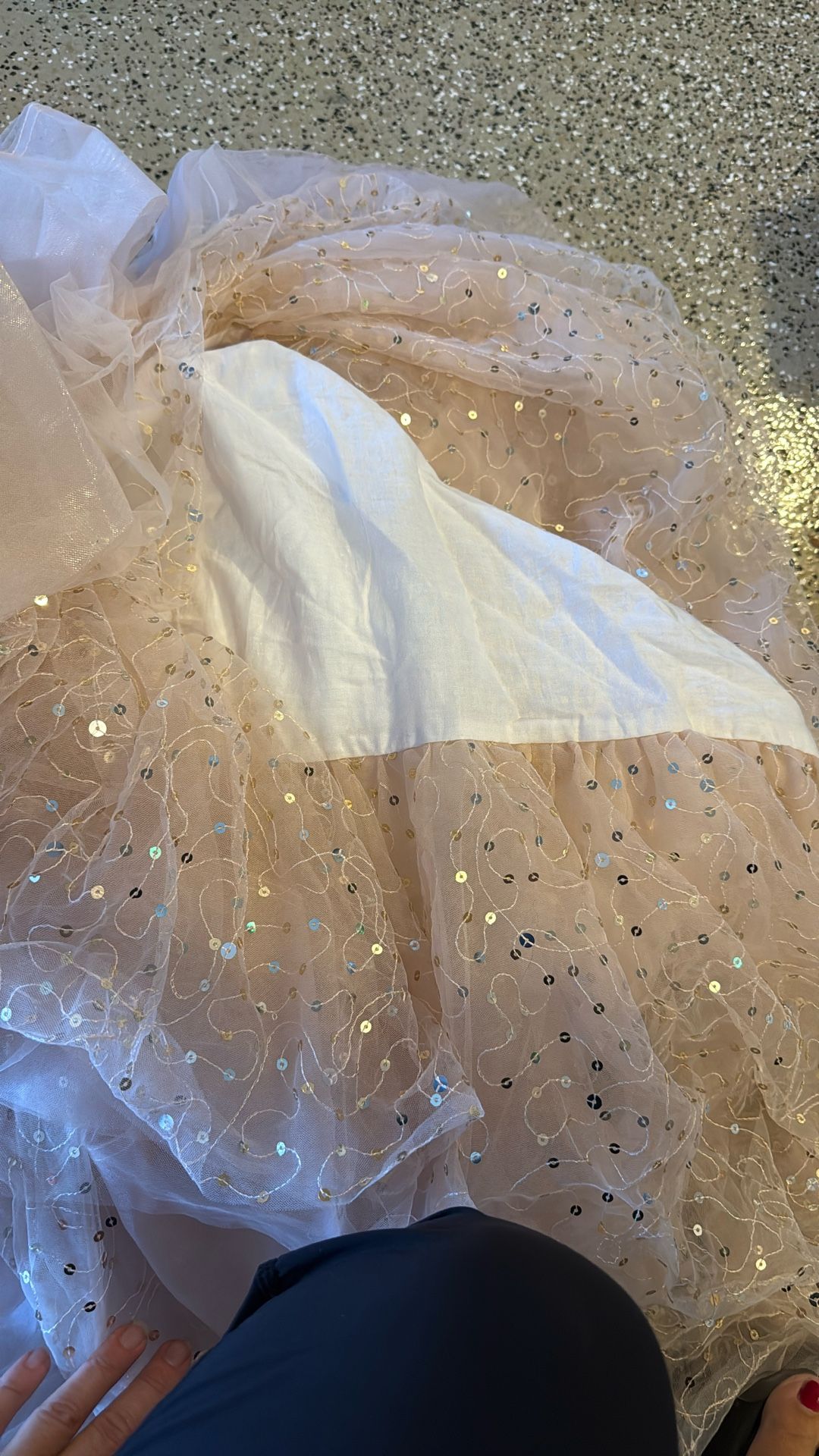 Pottery barn Twin Sequin Bed Skirt