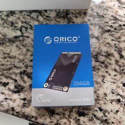SSD Solid State Drive 256GB mSATA 500MB/s