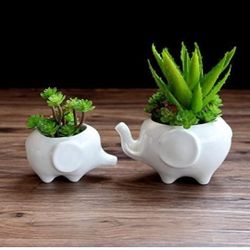 Elephant Shapes Flower Pots 