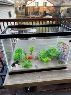 20 Gallon Fish Tanks