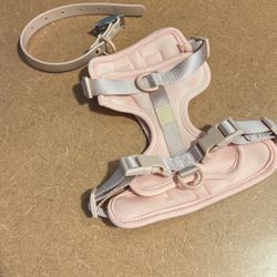 Wild One Dog Harness and Collar Set