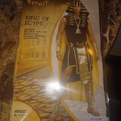 Halloween Costume: King Of Egypt (Medium)