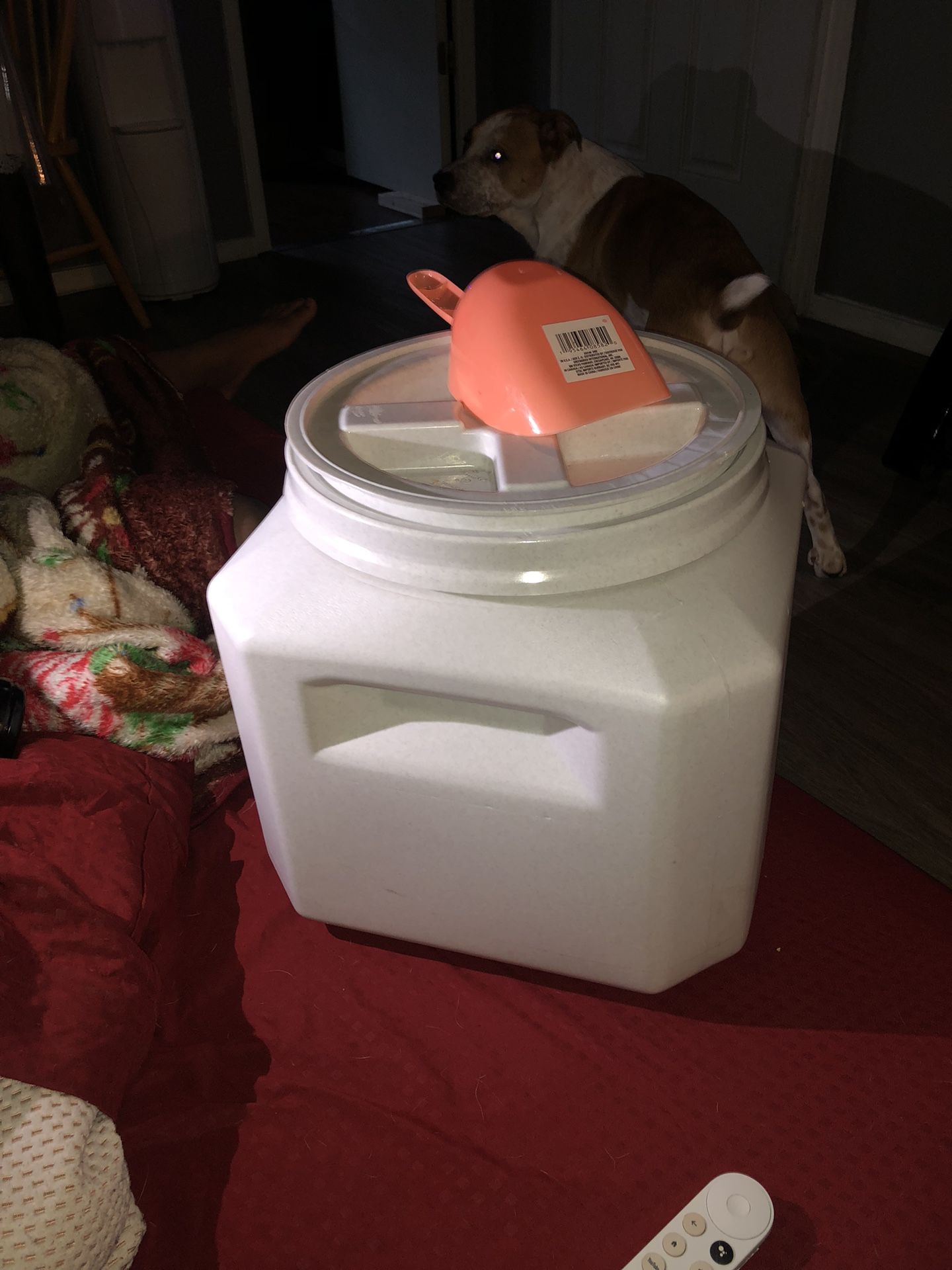 Dog Food Container With Scoop