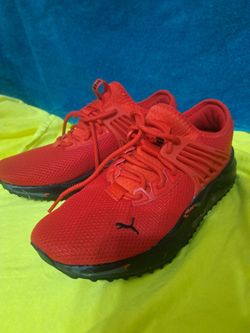 PUMA