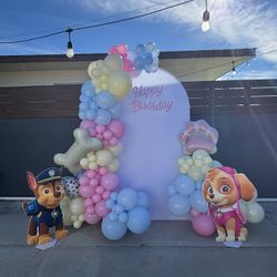 Affordable Balloon Decoration 