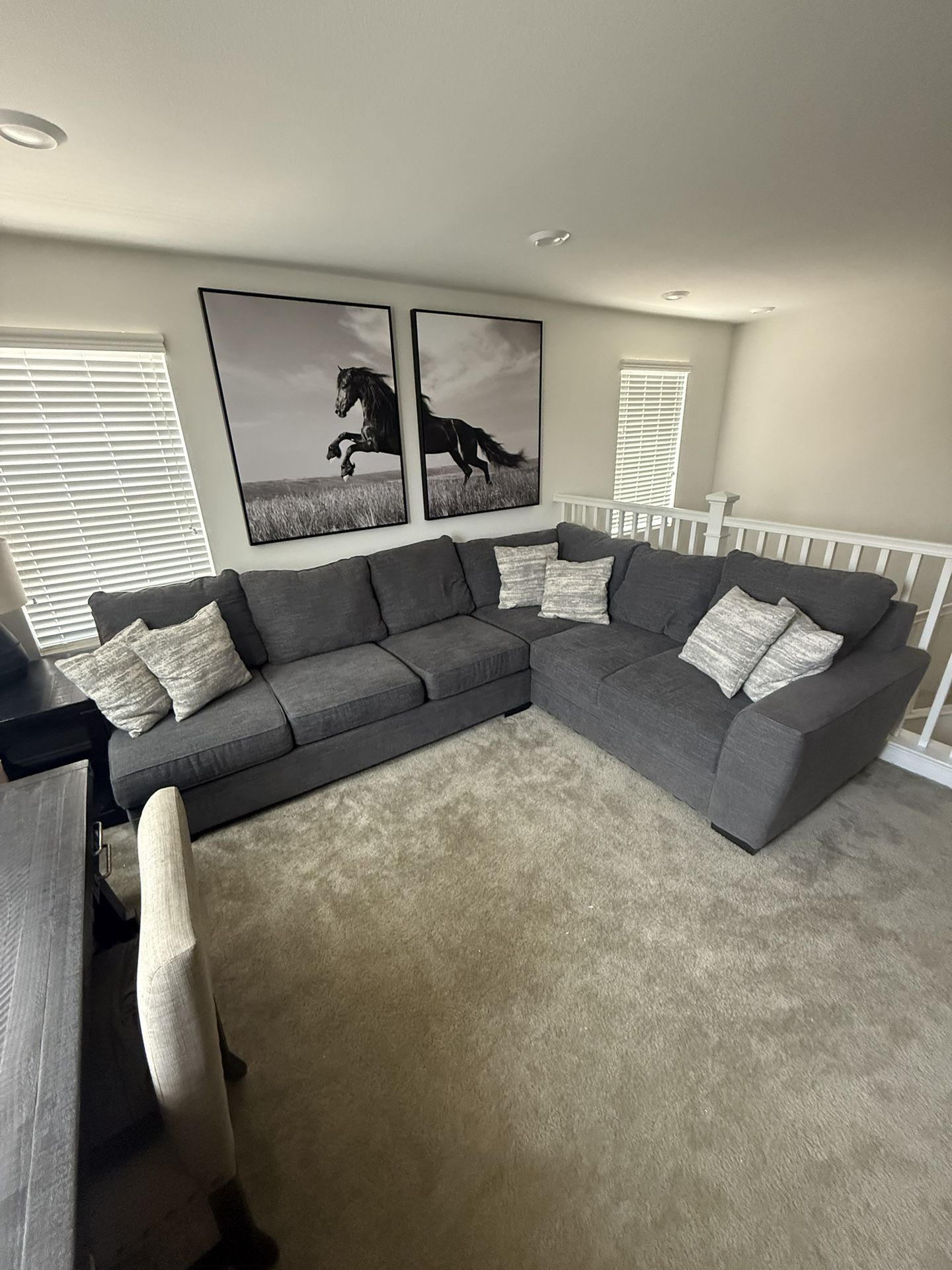 Sectional Couch