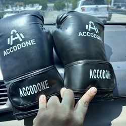 Boxing gloves for grown-up