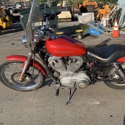 Sportster 883 For Sale